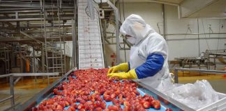 Agroindustria chilena proyecta exportaciones récord por sobre los US$3.600 millones en 2026 Agroindustria chilena proyecta exportaciones récord por sobre los US$3.600 millones en 2026
