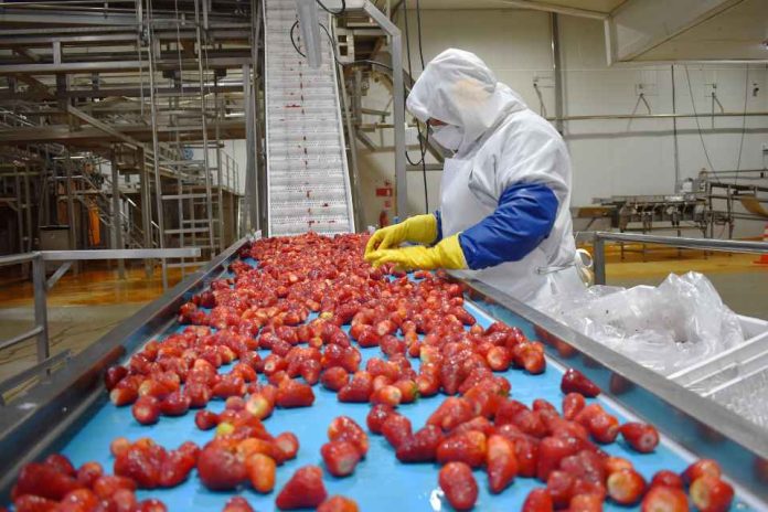 Agroindustria chilena proyecta exportaciones Agroindustria chilena proyecta exportaciones récord por sobre los US$3.600 millones en 2026