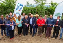 Alianza regional y seguridad hídrica marcan la inauguración de la Temporada de Riego 2026-2027 en la Región del Maule 