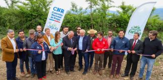 Alianza regional y seguridad hídrica marcan la inauguración de la Temporada de Riego 2026-2027 en la Región del Maule Alianza regional y seguridad hídrica marcan la inauguración de la Temporada de Riego 2026-2027 en la Región del Maule