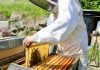 Apicultores de O’Higgins abordan cómo proteger sus colmenas frente a cambios de temperatura e incendios Apicultores de O’Higgins abordan cómo proteger sus colmenas frente a cambios de temperatura e incendios