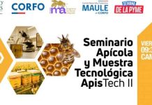 ApisTech II conectará innovación, ciencia y tecnología para impulsar la apicultura en el Maule ApisTech II conectará innovación, ciencia y tecnología para impulsar la apicultura en el Maule