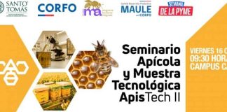 ApisTech II conectará innovación, ciencia y tecnología para impulsar la apicultura en el Maule ApisTech II conectará innovación, ciencia y tecnología para impulsar la apicultura en el Maule