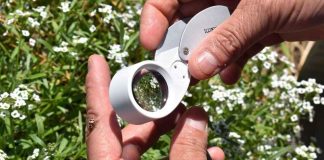 Biodiversidad: una aliada del campo frente a los desafiantes fenómenos ambientales Biodiversidad: una aliada del campo frente a los desafiantes fenómenos ambientales