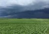 Brasil El Niño entra en una fase muy intensa: qué puede pasar con el clima Brasil El Niño entra en una fase muy intensa: qué puede pasar con el clima