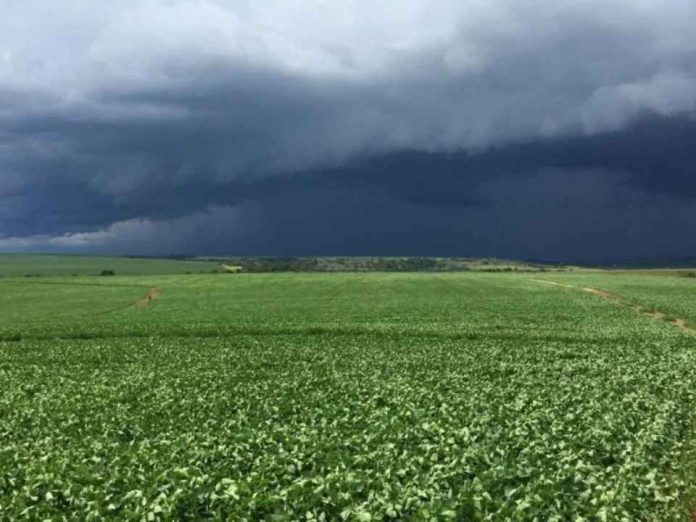_Brasil El Niño entra en una fase muy intensa qué puede pasar con el clima Brasil El Niño entra en una fase muy intensa: qué puede pasar con el clima