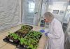 CEAF fortalece su laboratorio de fitosanidad con la incorporación de protocolos internacionales desarrollados en Francia CEAF fortalece su laboratorio de fitosanidad con la incorporación de protocolos internacionales desarrollados en Francia