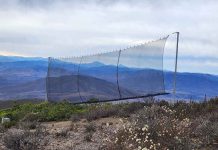 CNR invita a agricultores y organizaciones de Atacama y Coquimbo a postular proyectos basados en la naturaleza