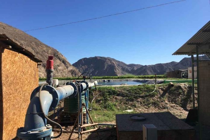CNR reitera llamado a Pequeños agricultores del Norte Chico para postular a concurso dirigido a proyectos no seleccionados