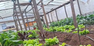 CNR visita a agricultores de San Fabián y destaca nuevas oportunidades de riego asociadas al Embalse Nueva La Punilla CNR visita a agricultores de San Fabián y destaca nuevas oportunidades de riego asociadas al Embalse Nueva La Punilla