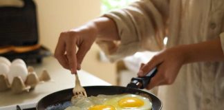 Chile produce casi 12 millones de huevos al día las claves sanitarias detrás de su calidad