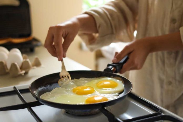 Chile produce casi 12 millones de huevos al día las claves sanitarias detrás de su calidad