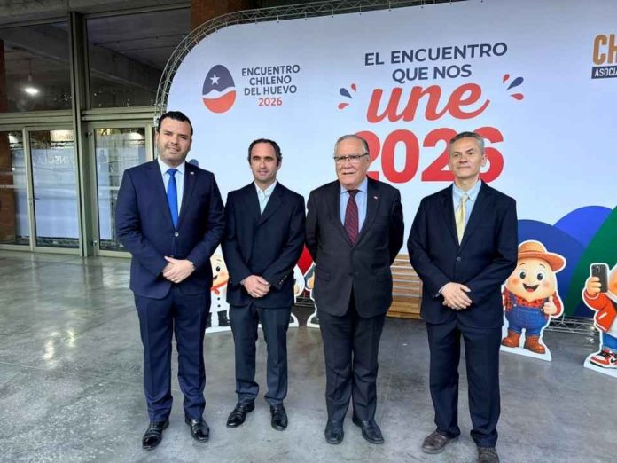 Chilehuevos recalcula consumo de huevo y estima que los chilenos llegarán a 320 unidades por persona en 2026 Chilehuevos recalcula consumo de huevo y estima que los chilenos llegarán a 320 unidades por persona en 2026