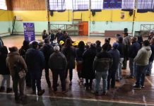 Comienzan trabajos de Prevención de Incendios del Programa de Empleo en Lumaco