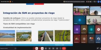 Comisión Nacional de Riego y Ministerio de Energía inician ciclo de charlas “Mes del Nexo 2026”
