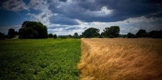Cómo los eventos climáticos extremos amenazan la seguridad alimentaria en Chile