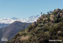 Conoce a los ganadores del concurso fotográfico de Parque Cordillera Conoce a los ganadores del concurso fotográfico de Parque Cordillera