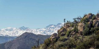 Conoce a los ganadores del concurso fotográfico de Parque Cordillera