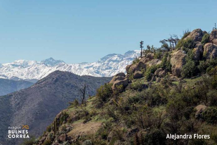 Conoce a los ganadores del concurso fotográfico de Parque Cordillera