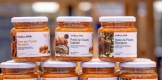 Cooperativa mapuche Walüng convirtió hongos changles y digüeñes en innovadoras pastas gourmet