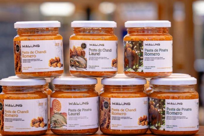 Cooperativa mapuche Walüng convirtió hongos changles y digüeñes en innovadoras pastas gourmet Cooperativa mapuche Walüng convirtió hongos changles y digüeñes en innovadoras pastas gourmet