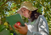Cultivemos biodiversidad: El campo debe prepararse para los desafiantes fenómenos ambientales Cultivemos biodiversidad: El campo debe prepararse para los desafiantes fenómenos ambientales