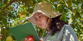 Cultivemos biodiversidad: El campo debe prepararse para los desafiantes fenómenos ambientales