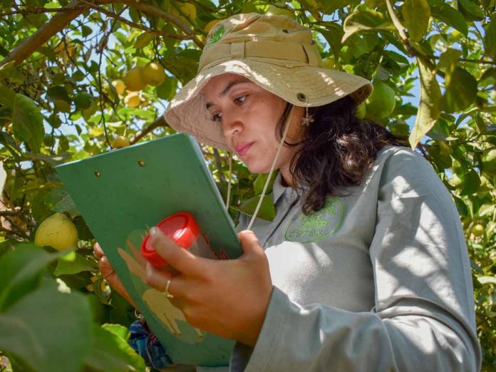 Cultivemos biodiversidad: El campo debe prepararse para los desafiantes fenómenos ambientales Cultivemos biodiversidad: El campo debe prepararse para los desafiantes fenómenos ambientales