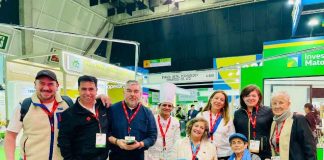 De Los Lagos al mundo: miel, gin y productos del campo buscan nuevos mercados