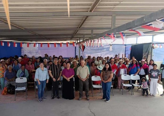 Día Internacional de las Mujeres Rurales: INDAP Tarapacá destaca rol de productoras en el fortalecimiento de la producción agrícola regional Día Internacional de las Mujeres Rurales: INDAP Tarapacá destaca rol de productoras en el fortalecimiento de la producción agrícola regional