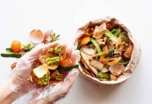Día Mundial de la Alimentación: ciencia chilena busca dar nueva vida a residuos agroalimentarios