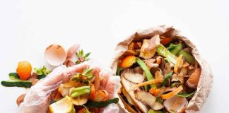 Día Mundial de la Alimentación: ciencia chilena busca dar nueva vida a residuos agroalimentarios Día Mundial de la Alimentación: ciencia chilena busca dar nueva vida a residuos agroalimentarios