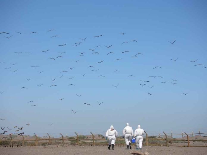 _Día Mundial de las Aves Migratorias SAG llama a proteger estas especies Día Mundial de las Aves Migratorias SAG llama a proteger estas especies