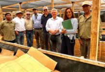 Economía circular con insectos: proyecto FIA busca transformar residuos orgánicos en biofertilizantes y proteína animal Economía circular con insectos proyecto FIA busca transformar residuos orgánicos en biofertilizantes y proteína animal