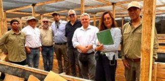 Economía circular con insectos: proyecto FIA busca transformar residuos orgánicos en biofertilizantes y proteína animal Economía circular con insectos proyecto FIA busca transformar residuos orgánicos en biofertilizantes y proteína animal