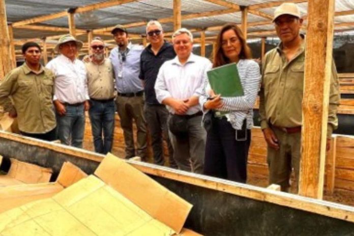 Economía circular con insectos proyecto FIA busca transformar residuos orgánicos en biofertilizantes y proteína animal Economía circular con insectos proyecto FIA busca transformar residuos orgánicos en biofertilizantes y proteína animal