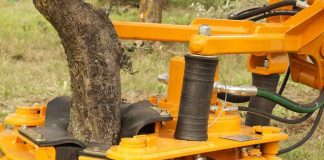 El boom de los frutos secos impulsa la mecanización de la cosecha en Chile El boom de los frutos secos impulsa la mecanización de la cosecha en Chile