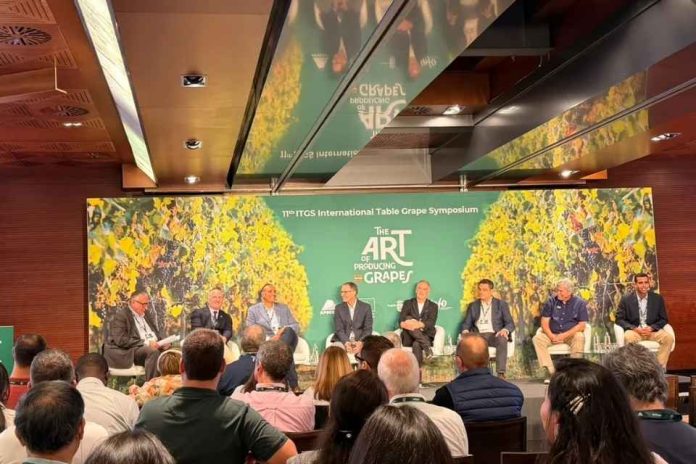 En el 11° Simposio Internacional de Uva de Mesa en Murcia, España Director Ejecutivo del Comité de Uva de Mesa de Frutas de Chile aborda la renovación varietal y los desafíos comerciales En el 11° Simposio Internacional de Uva de Mesa en Murcia, España: Director Ejecutivo del Comité de Uva de Mesa de Frutas de Chile aborda la renovación varietal y los desafíos comerciales