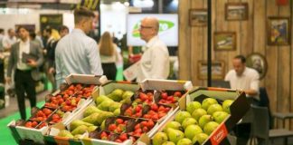 España |Fruit Attraction celebra su 18ª edición con las mayores cifras de participación de su trayectoria Fruit Attraction celebra su 18ª edición con las mayores cifras de participación de su trayectoria