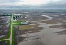 Estados Unidos  | El Niño marcará el invierno en  el país y  pone a la agricultura en alerta por lluvias, sequía y cambios de temperatura