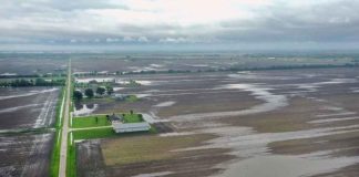 Estados Unidos | El Niño marcará el invierno en el país y pone a la agricultura en alerta por lluvias, sequía y cambios de temperatura Estados Unidos | El Niño marcará el invierno en el país y pone a la agricultura en alerta por lluvias, sequía y cambios de temperatura