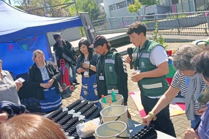 Estudiantes de Ingeniería Agrícola lideran taller de almácigos en Trafkintu de Los Ángeles Estudiantes de Ingeniería Agrícola lideran taller de almácigos en Trafkintu de Los Ángeles