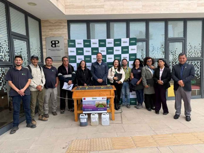 Estudio de INIA Intihuasi revela que la hidroponía es viable para producir hortalizas en Chañaral