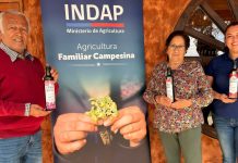 Familia campesina transforma el Desierto Florido en identidad de marca para sus aceites de oliva Familia campesina transforma el Desierto Florido en identidad de marca para sus aceites de oliva