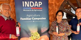 Noticia: Familia campesina transforma el Desierto Florido en identidad de marca para...