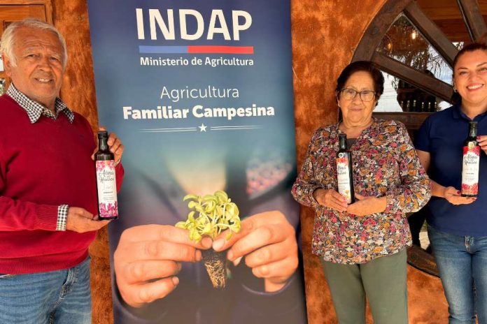 Familia campesina transforma el Desierto Florido en identidad de marca para sus aceites de oliva Familia campesina transforma el Desierto Florido en identidad de marca para sus aceites de oliva