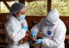 Fenómeno de El Niño y caso de influenza aviar en Perú elevan la alerta del SAG y refuerzan la vigilancia sanitaria
