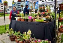 Feria de las Flores Campesinas anota exitosa jornada en Concepción Feria de las Flores Campesinas anota exitosa jornada en Concepción