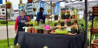 Feria de las Flores Campesinas anota exitosa jornada en Concepción
