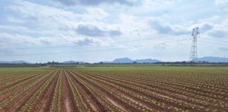 Productores de Coquimbo recorren Murcia y Madrid para adaptar soluciones en riego, energía y mercados Productores de Coquimbo recorren Murcia y Madrid para adaptar soluciones en riego, energía y mercados